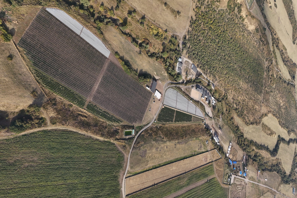 Женис Сатов