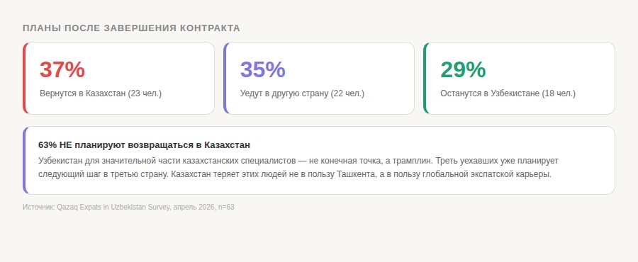 Инфографика 