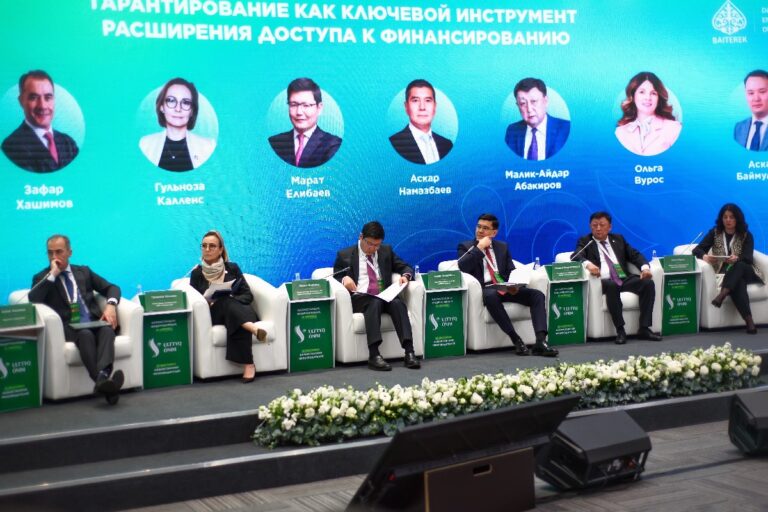 Как кредитные гарантии стимулируют развитие бизнеса в Казахстане
