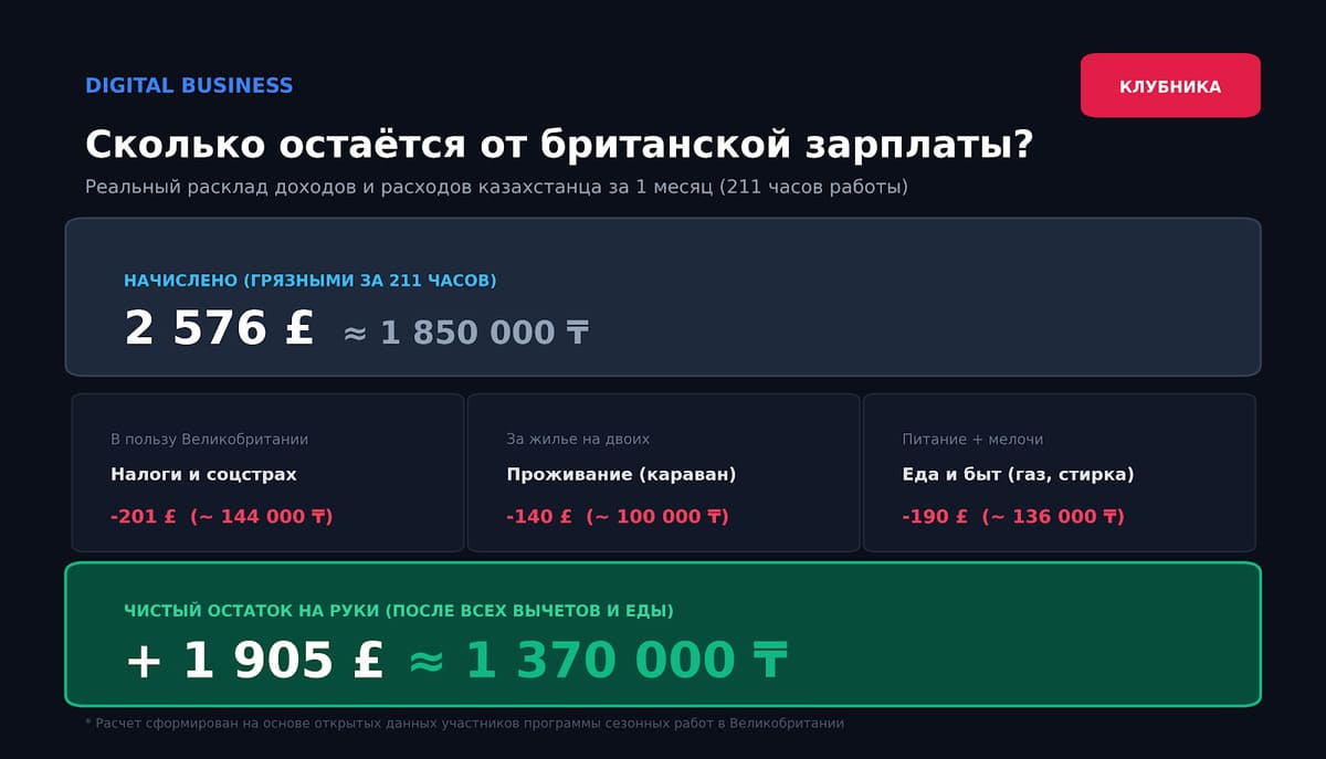 Заработок на клубнике