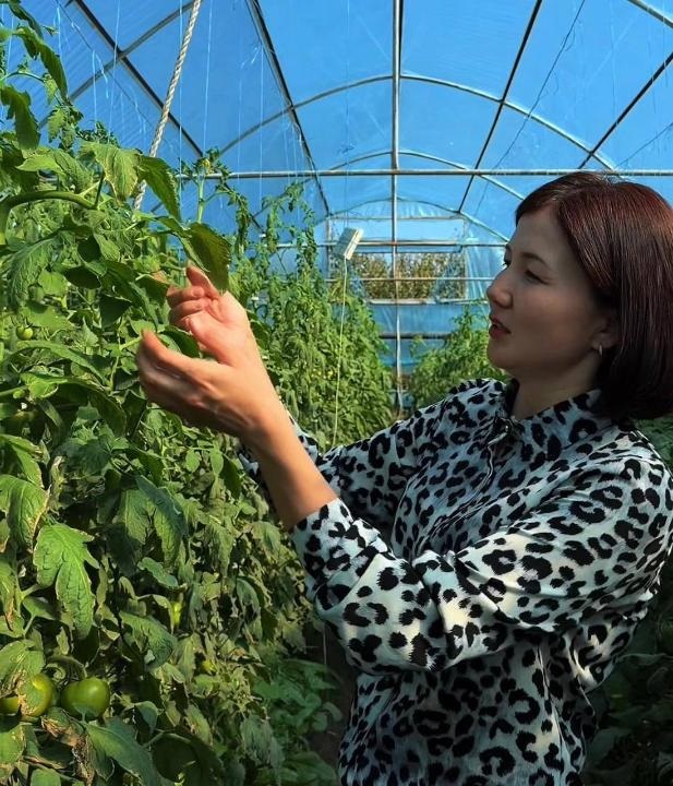 Казахстанка начала с теплицы, а теперь выращивает овощи для всего села — изображение 2