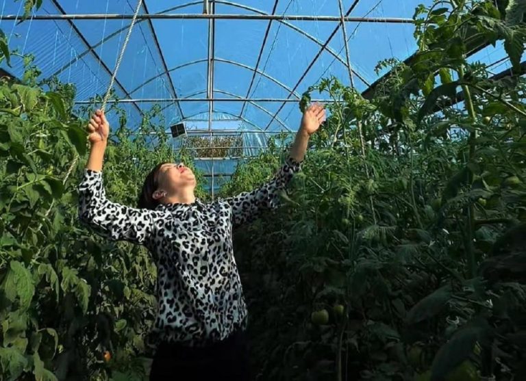Казахстанка начала с теплицы, а теперь выращивает овощи для всего села
