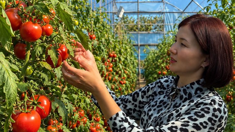 Многодетная мать из Актюбинской области доказала: большой бизнес можно вырастить из маленького огорода