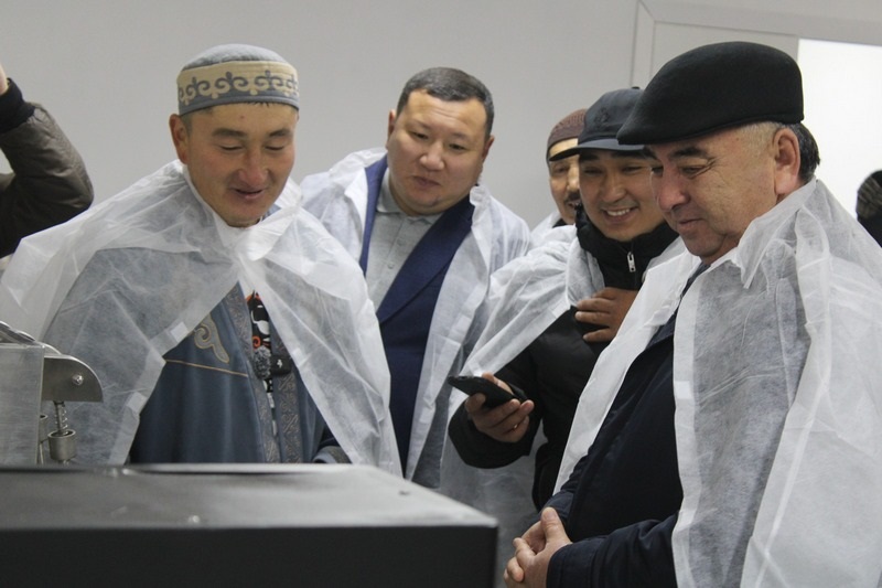 Казахстанец начал с одной кобылы и создал бренд кумыса, который получил Гран-при — изображение 1
