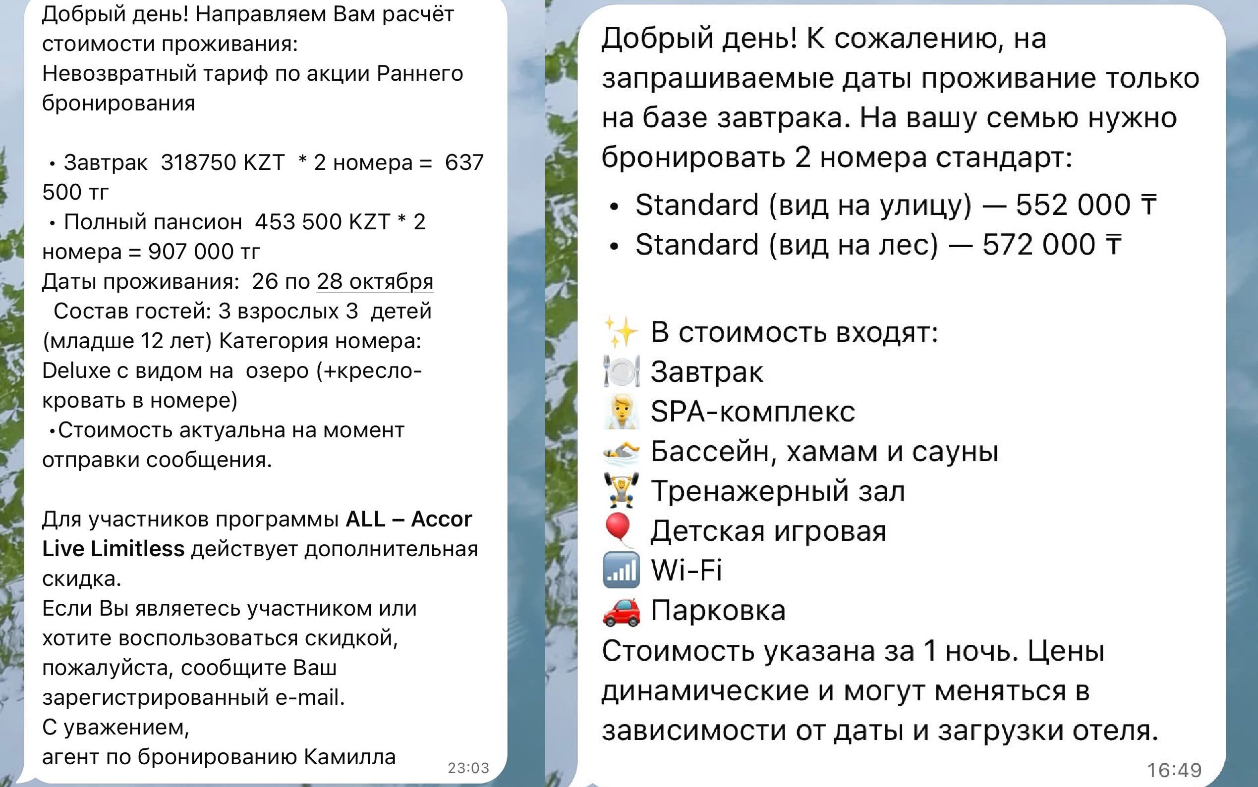 В Боровом попросили больше 900 тысяч тенге за два дня отдыха с семьей. Что ответили казахстанцы — изображение 1