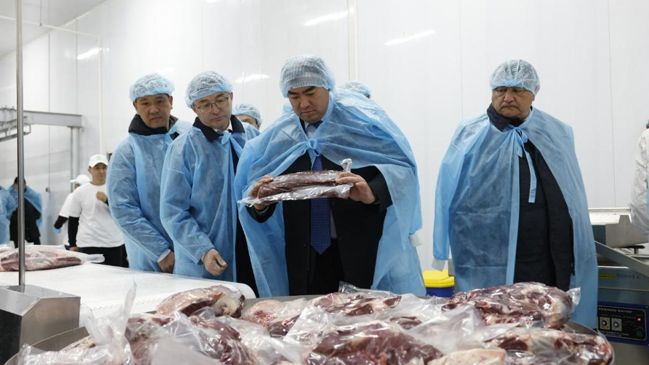 Один из богатейших строителей Казахстана зашел в мясной бизнес. Под Алматы открыли завод — изображение 2
