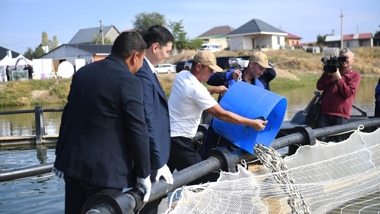 За 500 млн тенге в Казахстане запустили необычное рыбное хозяйство - оно зарабатывает не только на рыбе — изображение 1